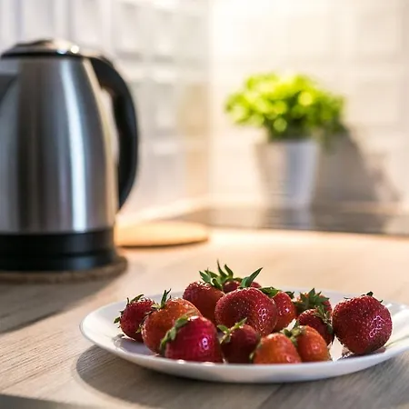 Vistula Premium דירה קרקוב